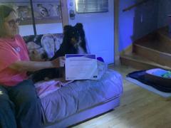 baci+ Traitement contre la mauvaise haleine | Chats et chiens Review