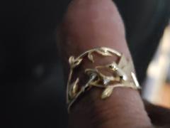 Audry Rose Hummingbird Luck Ring Review