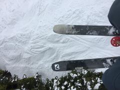 4FRNT Skis 4FRNT Ski Bag Review