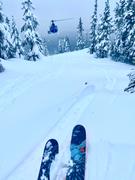 4FRNT Skis Renegade Review