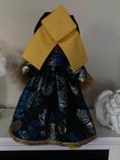Pixie Faire Renaissance Faire Hampton Court Gown 18 Doll Clothes Review