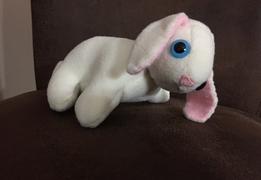 Pixie Faire Benjy & Blossom Bunny Pets 18 Doll Pet Pattern Review