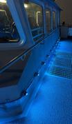 BLACK OAK LED New - Marine Accent Light Review