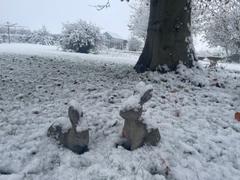 Ferney Heyes Garden Products STONE GARDEN PAIR OF RABBITS STATUES EASTER BUNNY RABBIT ORNAMENTS Review