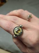 CONQUERing Dalmatian Jasper Crystal Spinner Review