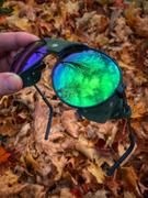 Julbo Canada CHAM Review
