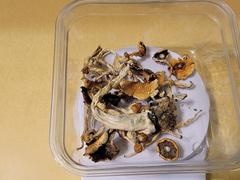 Get Magic Mushrooms Texas Penis Envy Magic Mushrooms Review