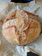 Sunrise Flour Mill White Sonora Heritage Wheat Berries Review