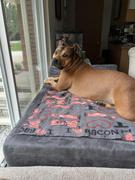 Big Barker Embroidered Cover | Headrest Edition Review