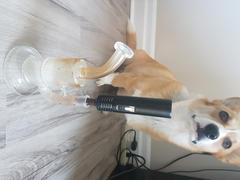 Great White North Vaporizer Company The Buzz Honeycomb Percolator - 14mm Female Joint Review