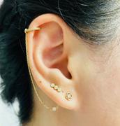 Ferkos Fine Jewelry 14k  Diamond Clover Earrings Review