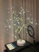 yoonma YOONMA Fenix - Erstaunlicher Baum, der jeden Raum belebt und erhellt. Review