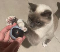 yoonma YOONMA Smartball - Spaß und aktive Unterhaltung Deiner Katze Review