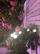 klawigo Lumino™ | Magische Glühwürmchenlichter für deinen Garten Review