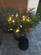 klawigo Lumino™ | Magische Glühwürmchenlichter für deinen Garten Review