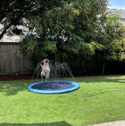 klawigo Soak-n-Play - Ultimative Spaß für Deinen Hund Review