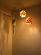 Chicnchill Artichoke Pendant Light Fixture Review