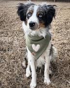 & Mutts Co. sherpa heart add-on Review