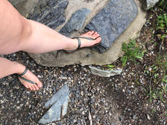 Earth Runners Circadian Lifestyle Sandals Review