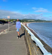 Vandem Longboard Shop UK Lush Longboards Freebyrd Lo-Pro Woodgrain Drop-through Longboard Review