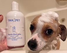 Tika Pet Gentle Shampoo Review