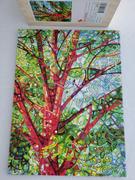 StumpCraft Summer Medley by Mandy Budan Review