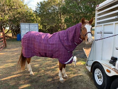 Performance Horse Blankets Rhino Plus Vari-Layer 250g Medium Turnout Blanket Review