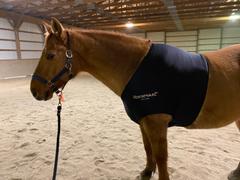 Performance Horse Blankets Rambo Slinky Shoulder Guard Review