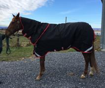 Performance Horse Blankets Rambo Supreme 1680D Heavy 450g Vari-Layer Turnout Blanket Review