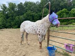 Performance Horse Blankets Kensington Fly Mask with Soft Mesh Ears and Removable Nose Review