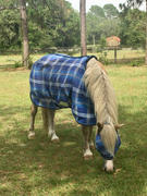 Performance Horse Blankets Kensington Fly Mask with Fleece Trim Review