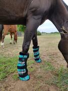 Performance Horse Blankets Kensington Protective Fly Boots with Fleece Review