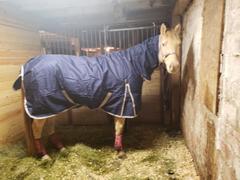 Performance Horse Blankets WeatherBeeta ComFiTec Essential Combo Heavy Turnout Blanket Review