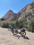 Mokwheel Bikes Basalt ST Review