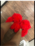 Sunflower Jewels  Teddy Bear Slippers Review