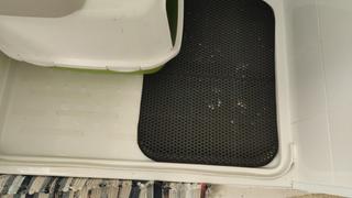 Thanea MATTICAT - Einzigartige Schmutzfangmatte für ein sauberen Fußboden Review