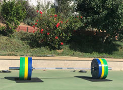 American Barbell  Color KG Sport Bumper Plates Review