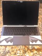 fishskyn Snowbird (MacBook Skin) Review