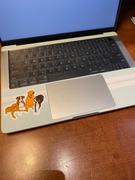 fishskyn Starfish (MacBook Skin) Review