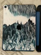 fishskyn Breaker (iPad Skin) Review