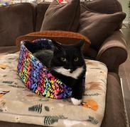 The Cat Ball Cat Canoe - Christmas Sweater Kitties Review