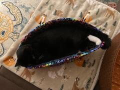 The Cat Ball Jumbo Cat Canoe - Navy Brown Crackle Review