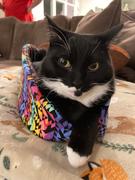 The Cat Ball Cat Canoe - Christmas Sweater Kitties Review