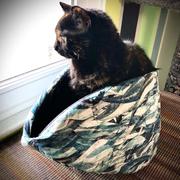The Cat Ball Cat Canoe - Purple Flowers Review