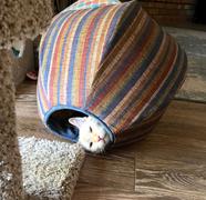 The Cat Ball Cat Ball Bed - Katie's Cats Review