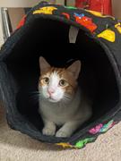 The Cat Ball Santa Cat Ball - Cats Wearing Christmas Sweaters Review