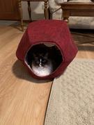 The Cat Ball Cat Ball bed - Strawberry Review
