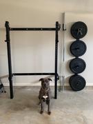 PRx Performance BYO Package - Profile® ONE Folding Squat Rack Review