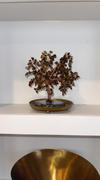 Karma and Luck Burst of Courage Tiger Eye Feng Shui Tree Review