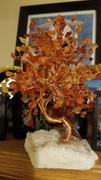 Karma and Luck Protection Amber Feng Shui Tree Review